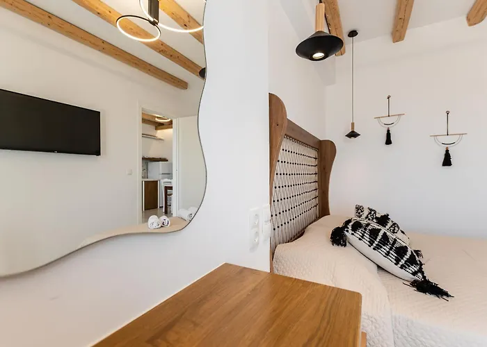 Birikos & 公寓 阿吉奥斯普罗科皮奥斯