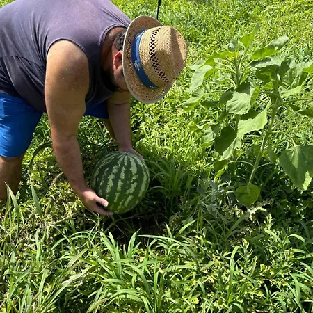 Apartamento Birikos & *