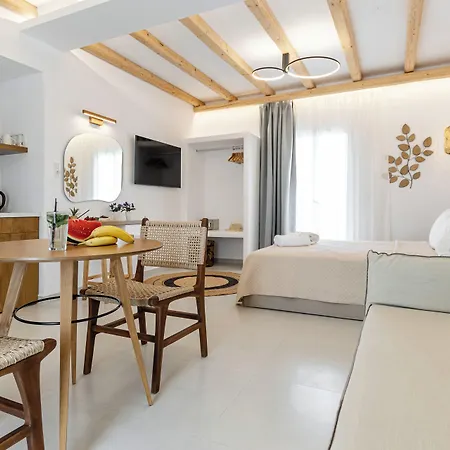 Birikos & Apartamento Agios Prokopios (Naxos)