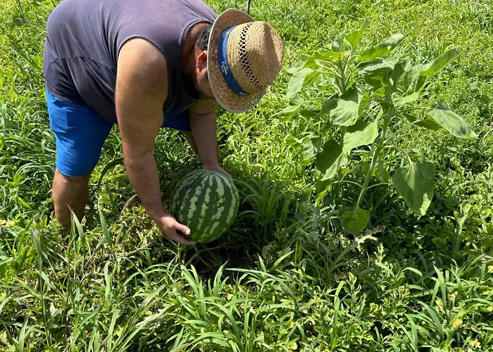 Apartment Birikos & *