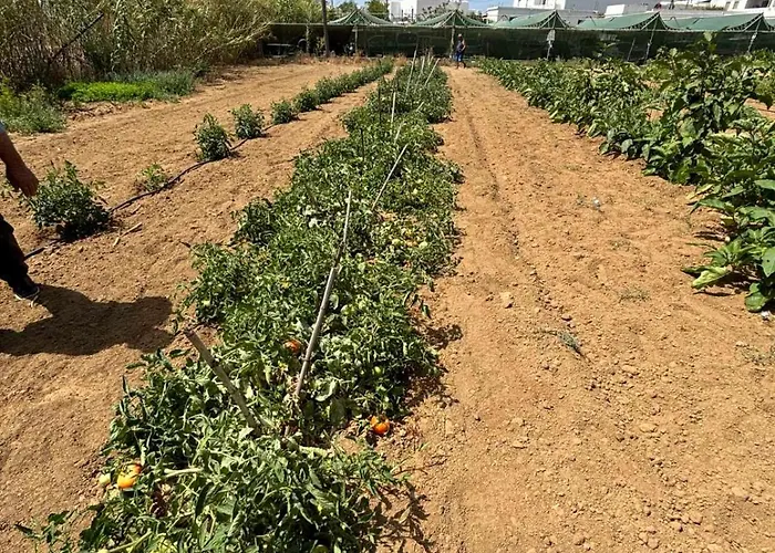 Apartment Birikos & Agios Prokopios (Naxos)
