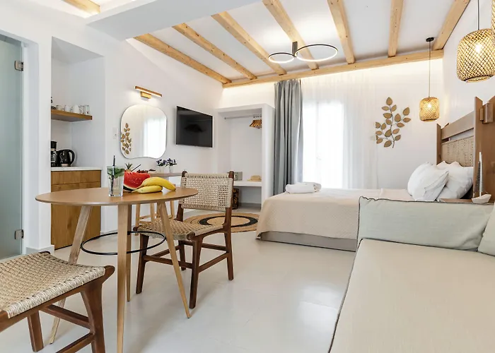 Birikos & Apartment Agios Prokopios (Naxos)